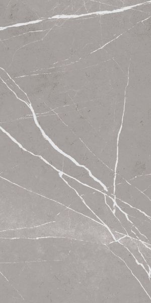 Picture of Navas Dark Grey Matt Tile 30x60