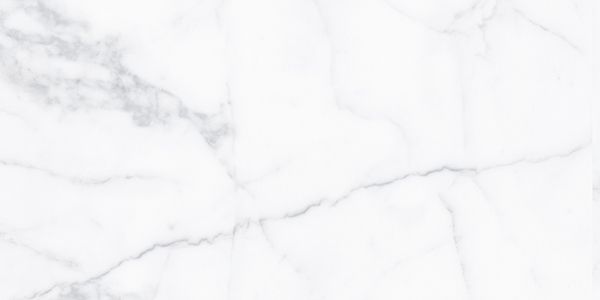 Picture of Carrara Classica Porcelain Tile 30x60 cm
