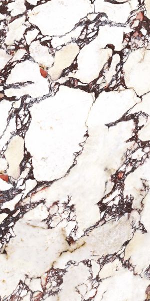 Picture of Calacatta Viola Polished Tile 60x120 cm