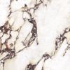 Picture of Calacatta Viola Matt Tile 60x60 cm