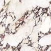 Picture of Calacatta Viola Matt Tile 60x60 cm